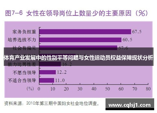 体育产业发展中的性别平等问题与女性运动员权益保障现状分析